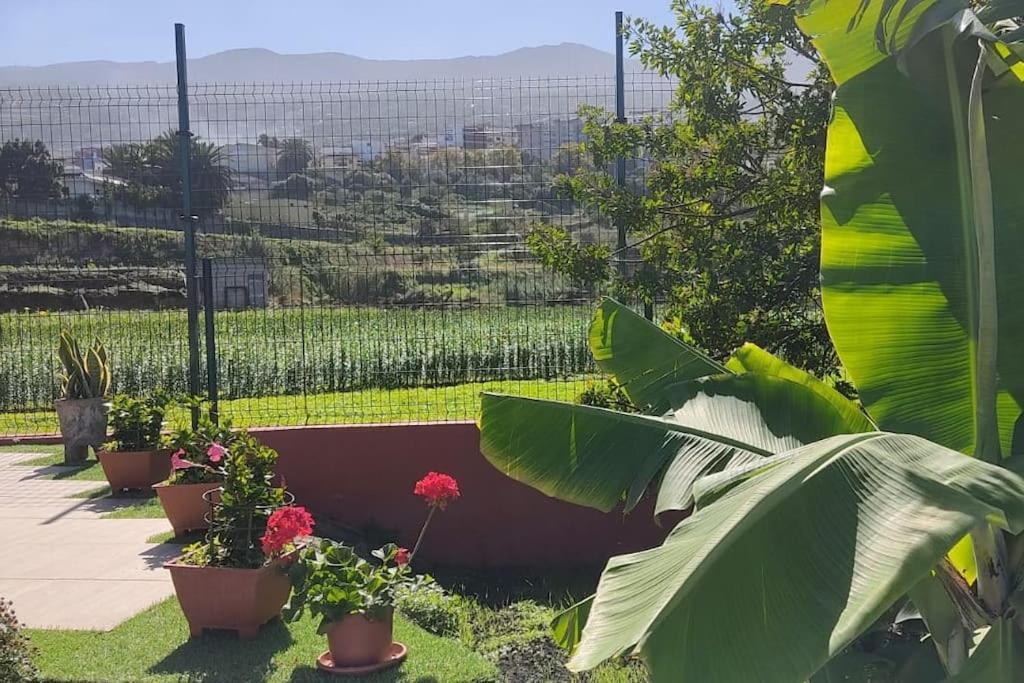 Casa Mamatina, En Los Realejos Villa Exterior foto